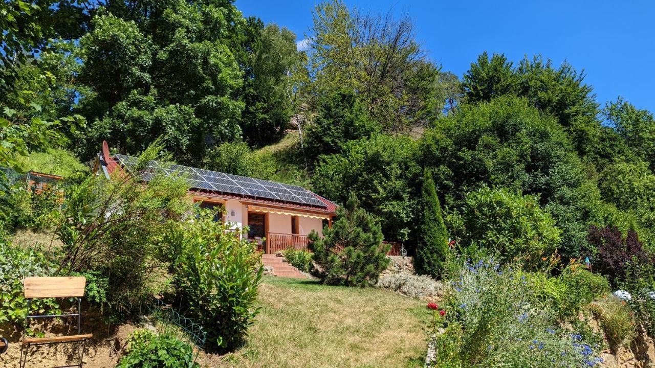 ואלדק Ferienhaus Manoury Am Klosterbrunnen מראה חיצוני תמונה
